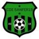 Escudo CD SANFER19